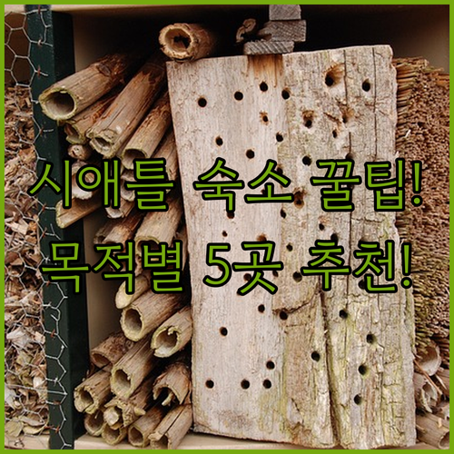 시애틀 여행 목적별 호텔 추천 가족 ..