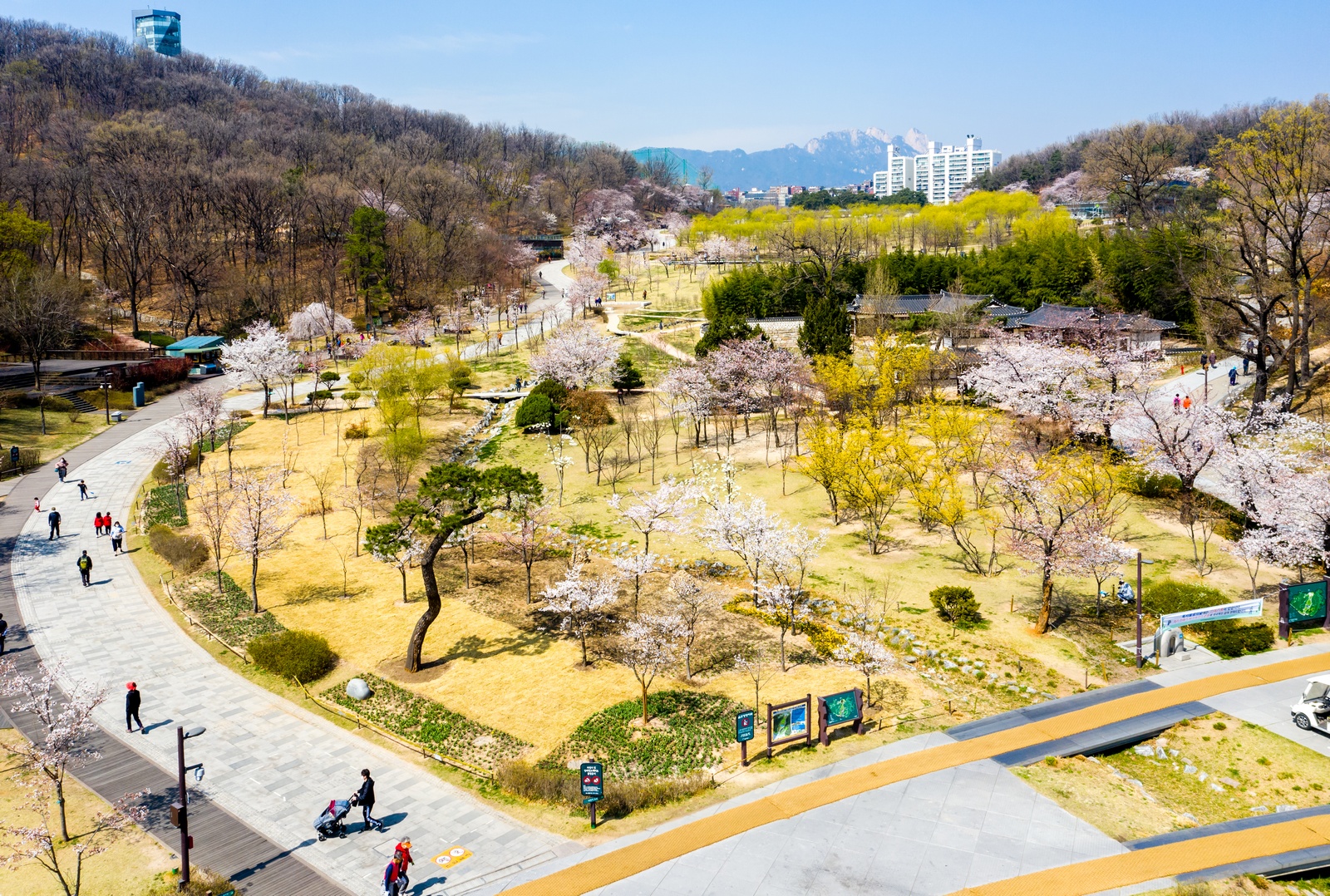 북서울 꿈의 숲 관련 사진