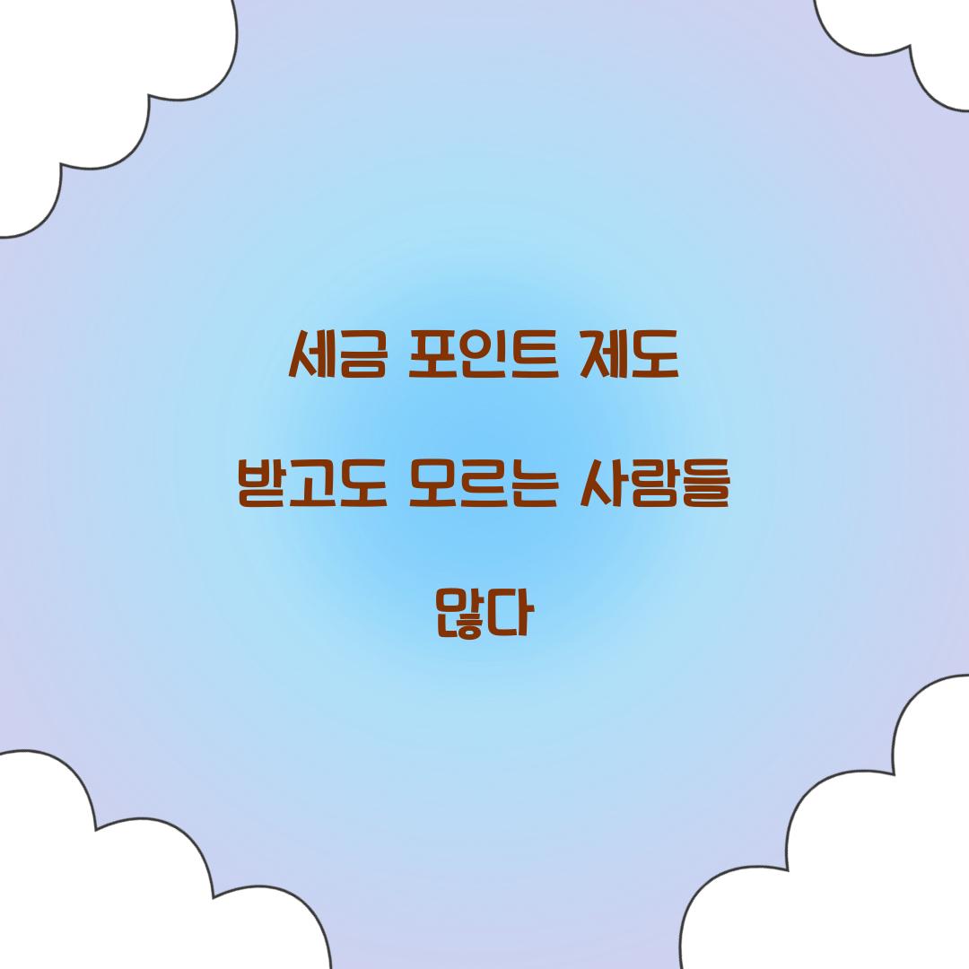세금 포인트 제도 받고도 모르는 사람들 많다  