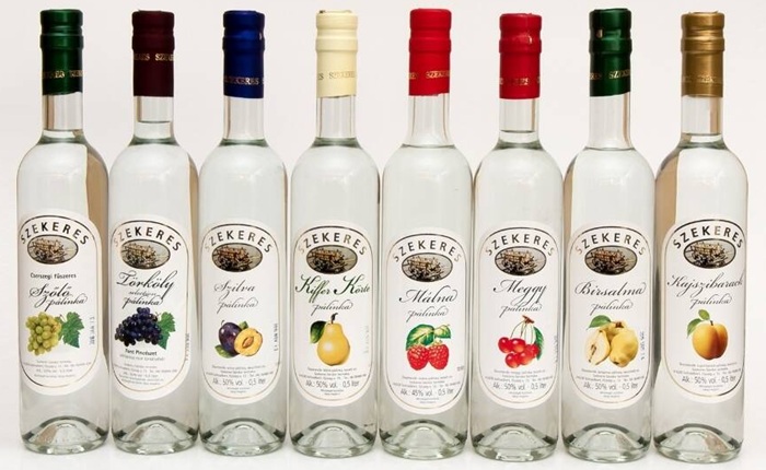 팔린카 관련 사진