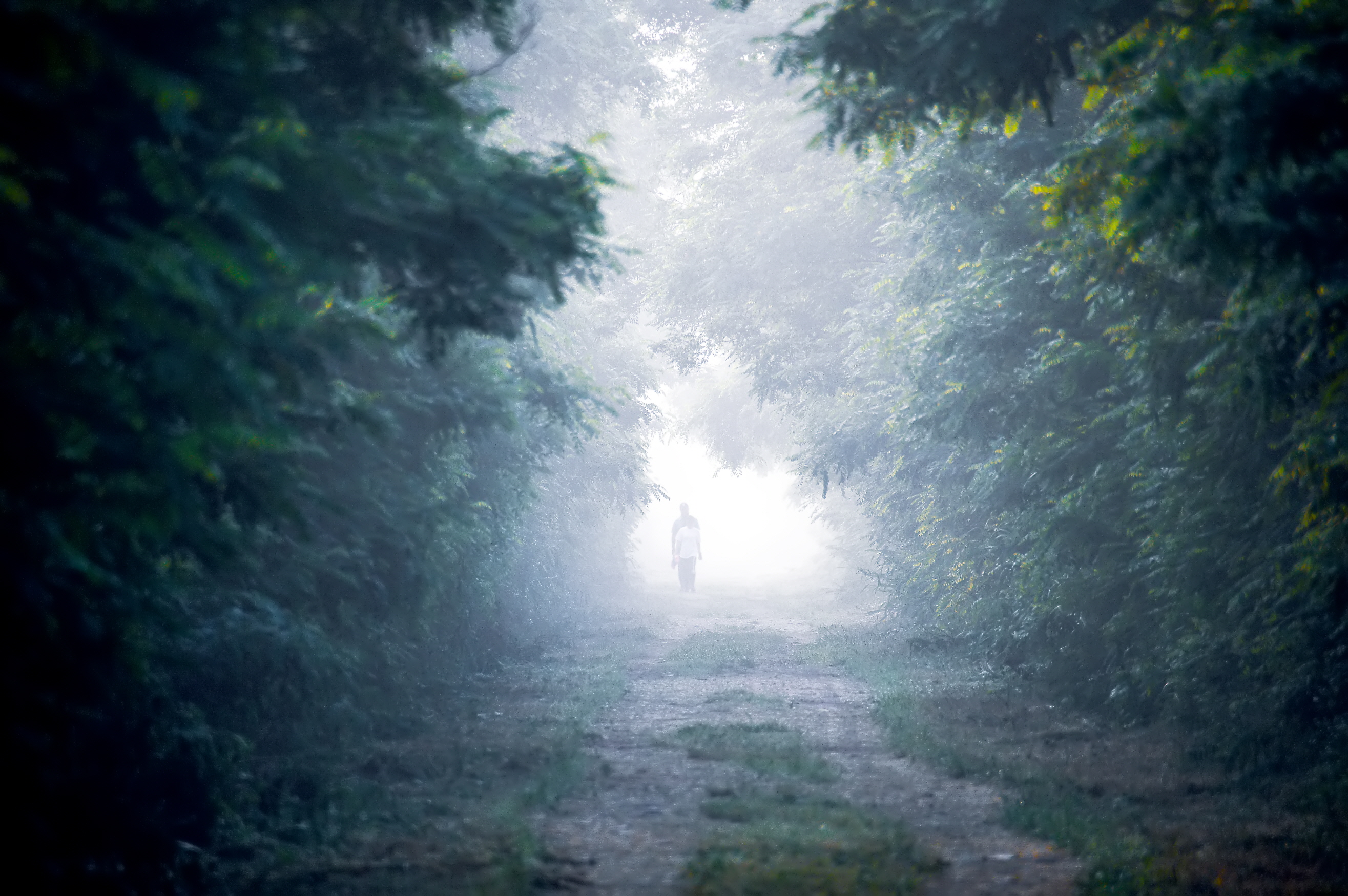 미생의다리 주변 길