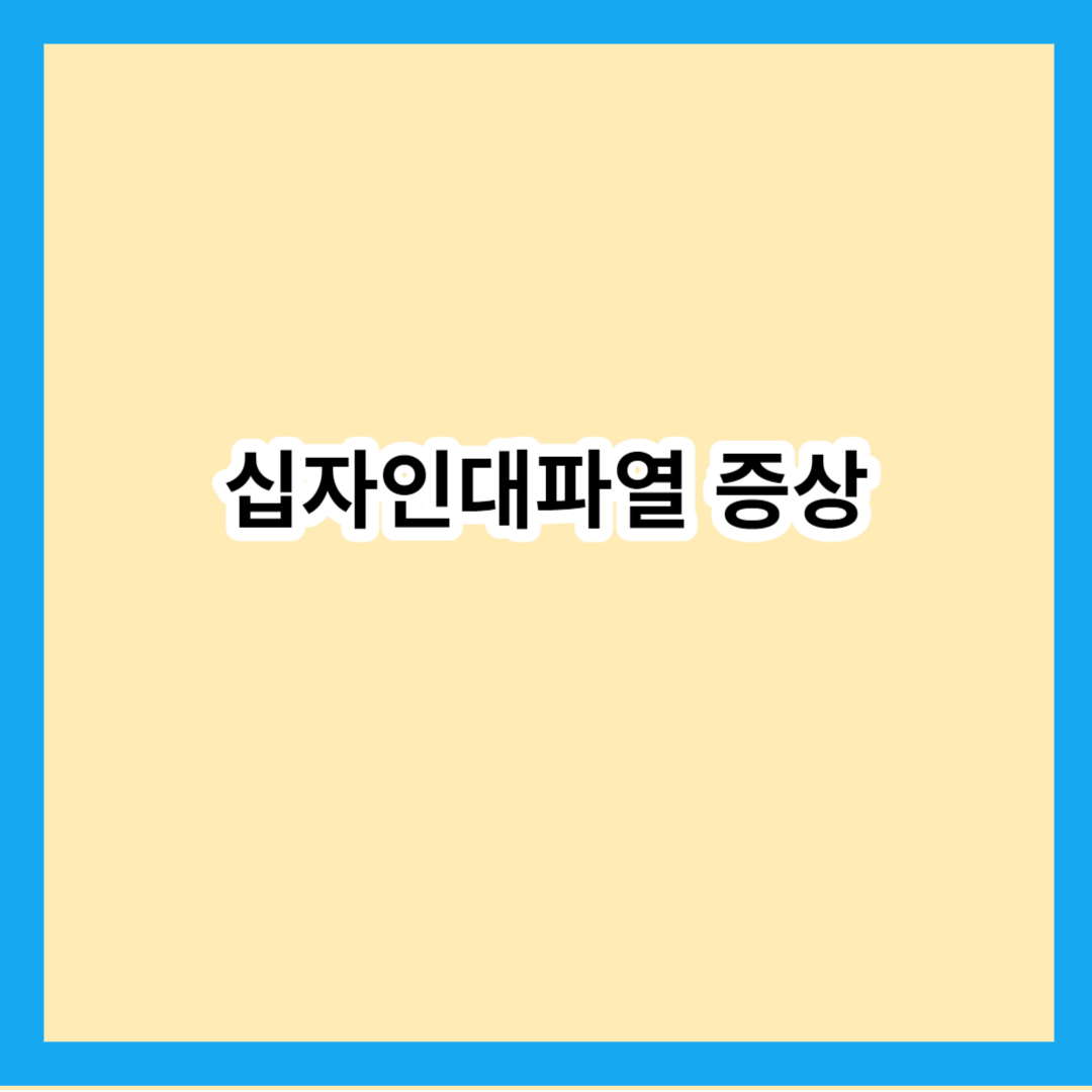 십자인대파열 증싱 및 중요한 정보 총정리
