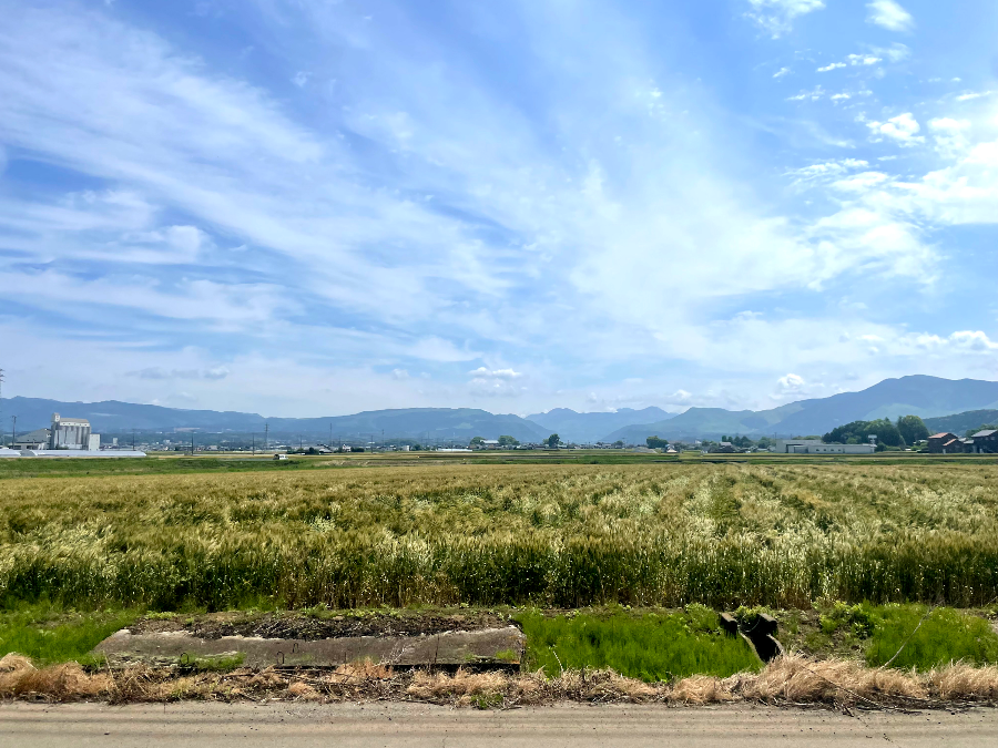 Umenoya 소바 전문점 가는길