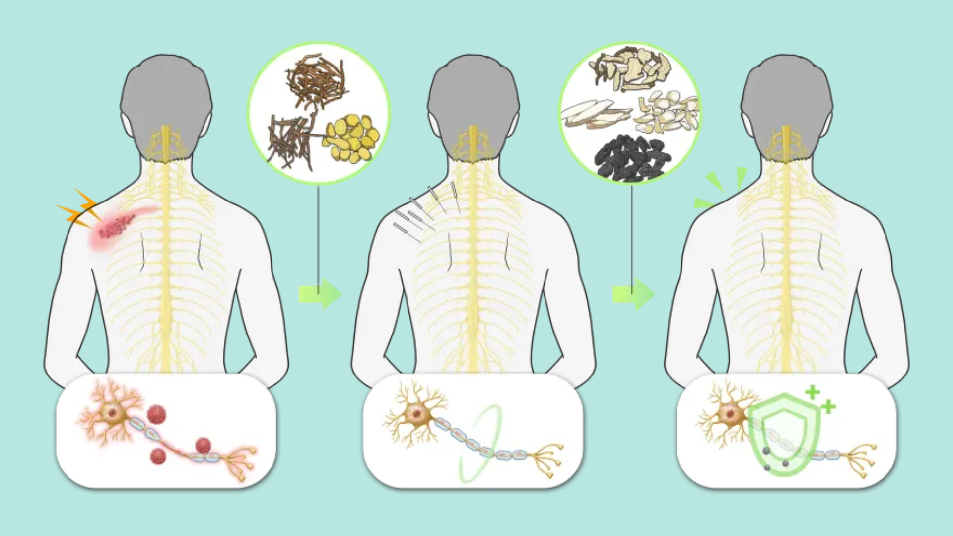 전염성을 최소화하려면?
