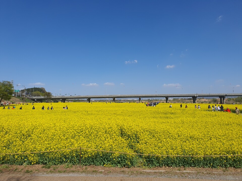 전라남도 나주 영산포파크골프장 소개