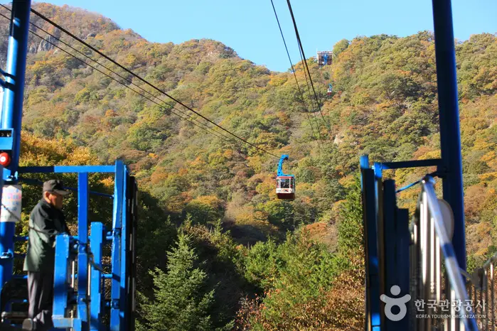 내장산 케이블카 예약4