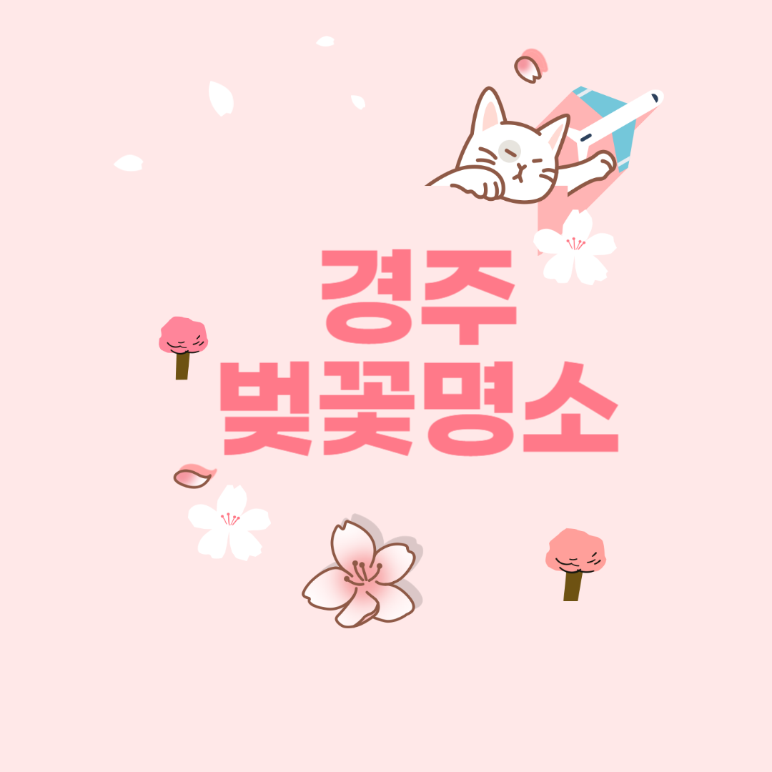2024-경주-벚꽃-명소-개화시기-스타벅스