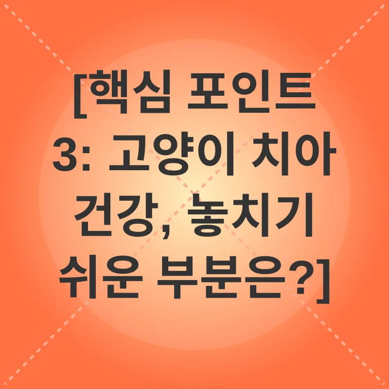 노령묘 건강관리_3