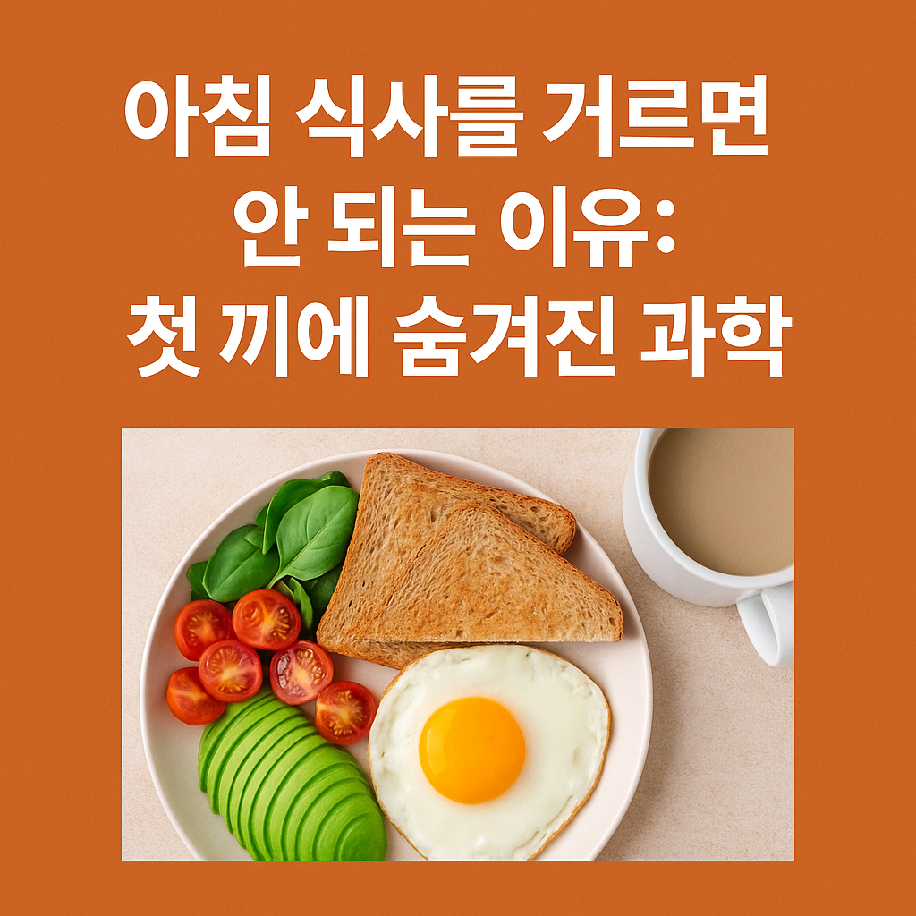 아침 식사를 거르면 안 되는 이유: 첫 끼에 숨겨진 과학
