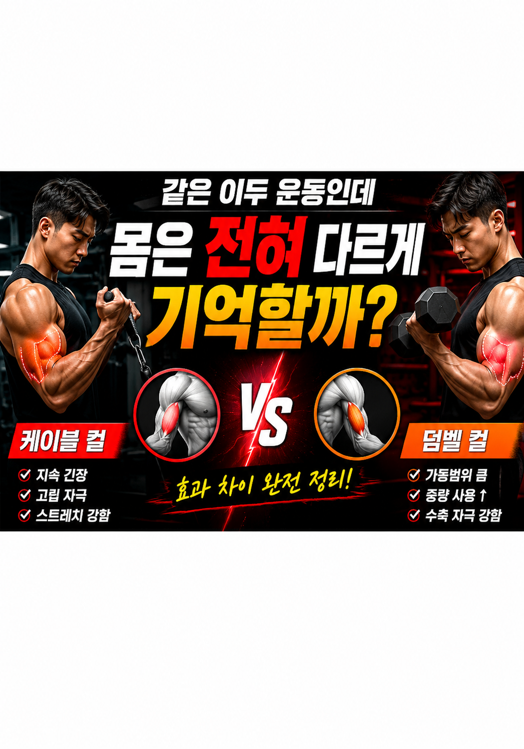 케이블 컬 vs 덤벨 컬:왜 같은 이두 운동인데 몸은 전혀 다르게 기억할까