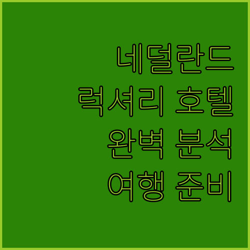 네덜란드 럭셔리 호텔 완벽 분석 뮈리..
