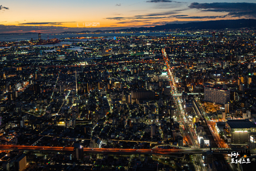 오사카 하루카스 300 야경