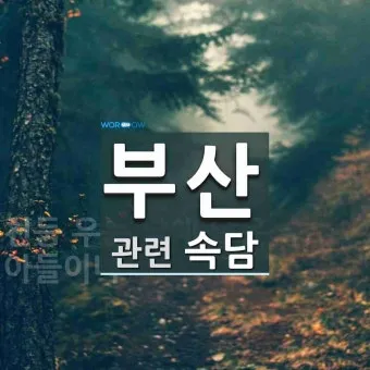 속담 100가지와 뜻 주요 속담_12