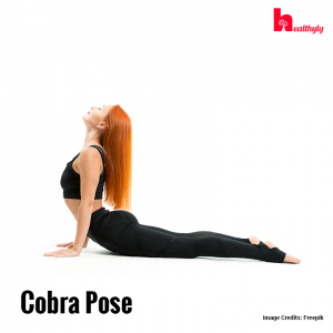 척추운동 코브라 자세