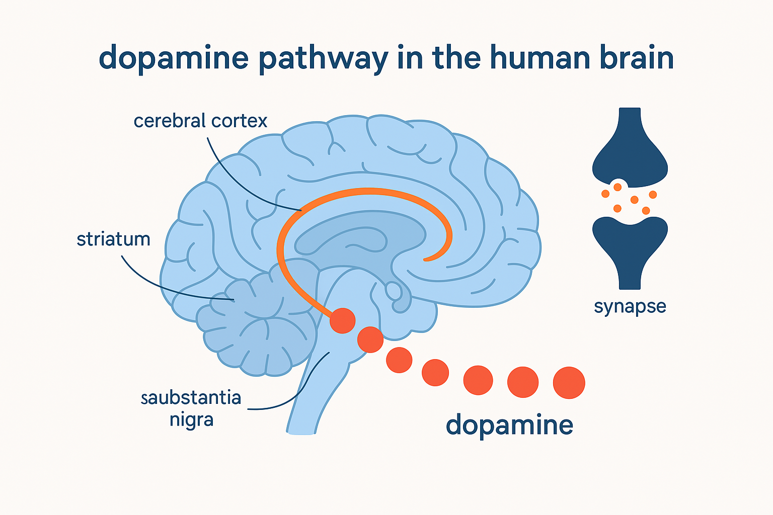 파킨슨병과도파민