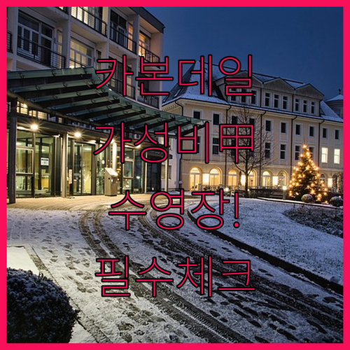 미국 일리노이 카본데일 숙소 추천 및..