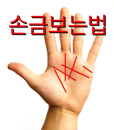 손금 보는법 여자 남자