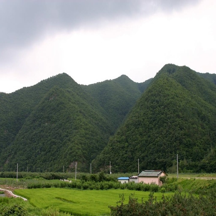 조정대상지역 이란