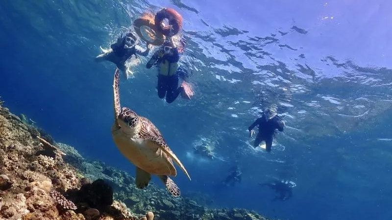 Ishigaki Snorkeling