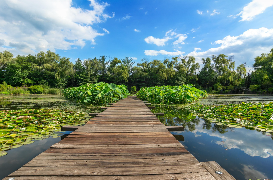 벽초지 문화수목원