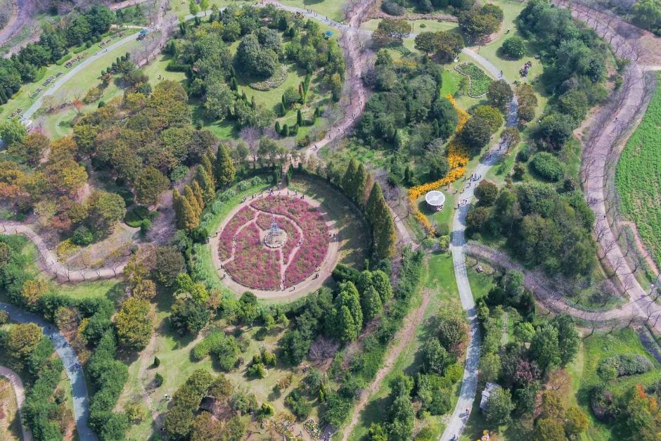 드림파크 국화축제 전경