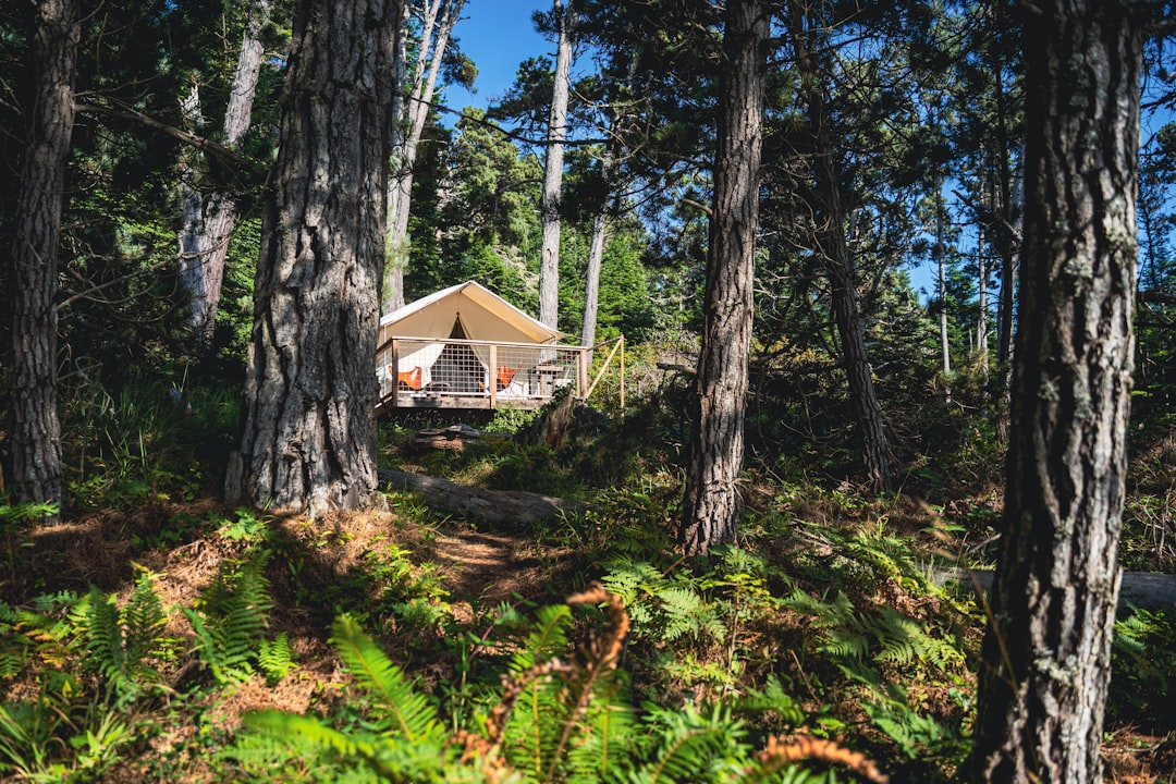 Glamping