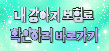 반려견 건강을 위한 첫걸음! 메리츠화재 펫퍼민트 보험의 모든 것