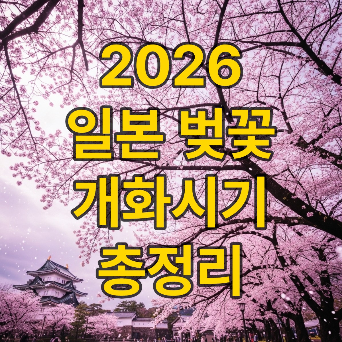 일본 벚꽃 개화시기