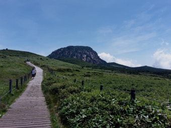 제주도 필수코스(한라산 국립공원) 관련