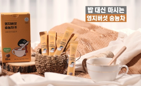 영지버섯 효능