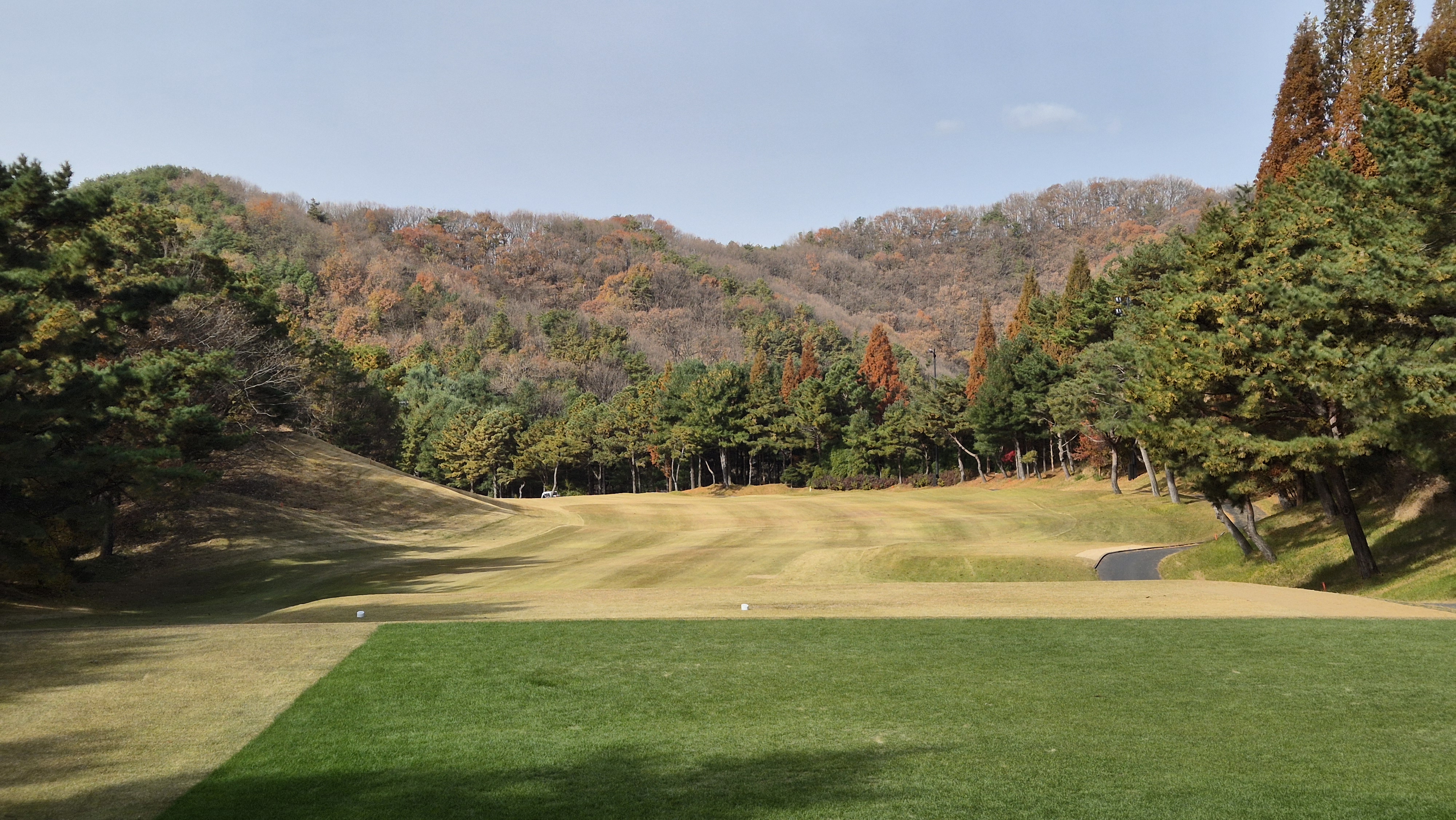 세종에머슨cc 마운틴코스 사진 및 공략 정보