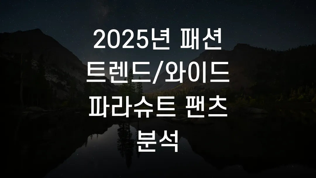2025년 패션 트렌드/와이드 파라슈트 팬츠 분석