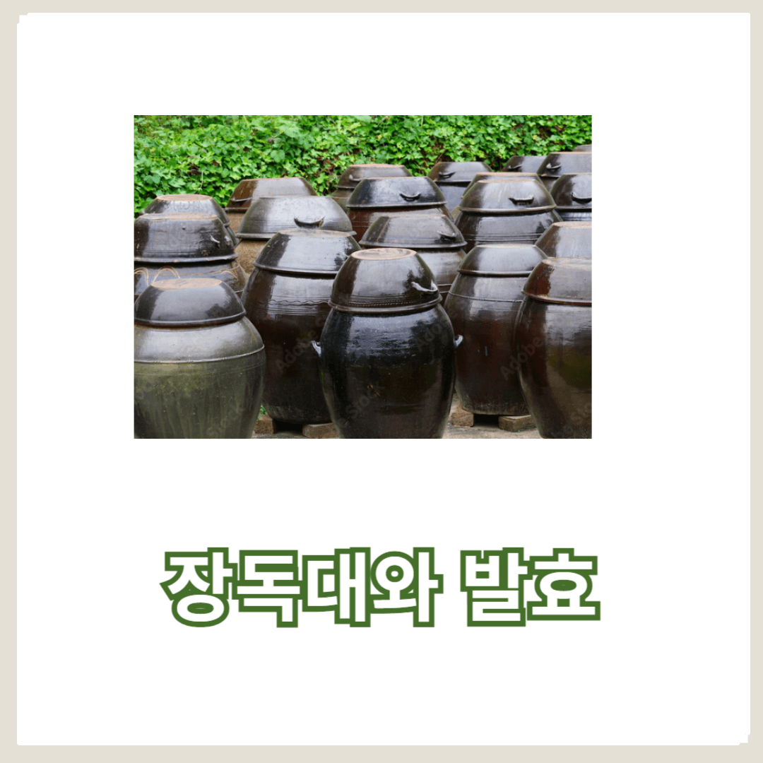 장독대와 발효의 비밀, 전통 저장 방법