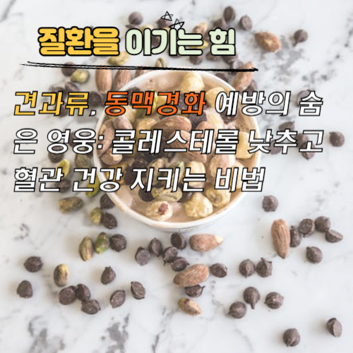 견과류, 동맥경화 예방의 숨은 영웅: 콜레스테롤 낮추고 혈관 건강 지키는 비법