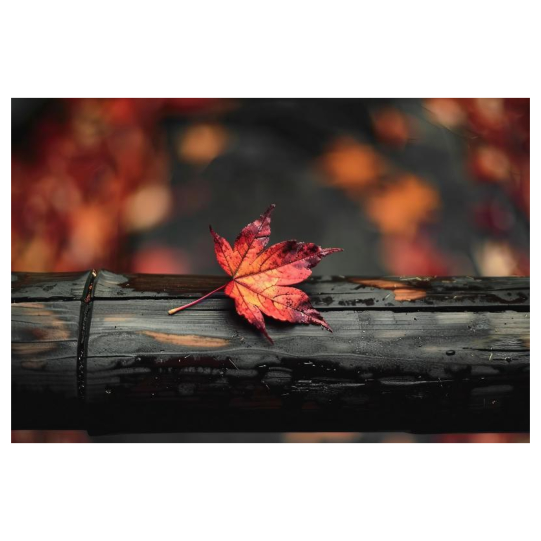 여주와 관련된 사진입니다.