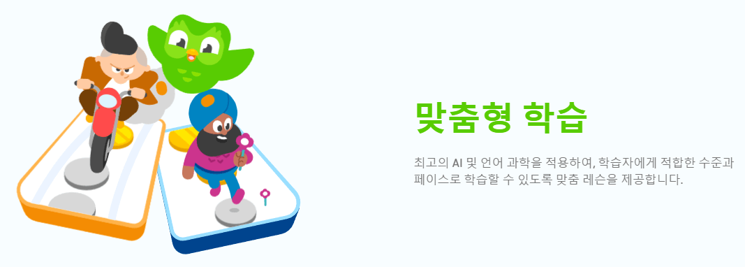듀오링고-기능-맞춤형학습