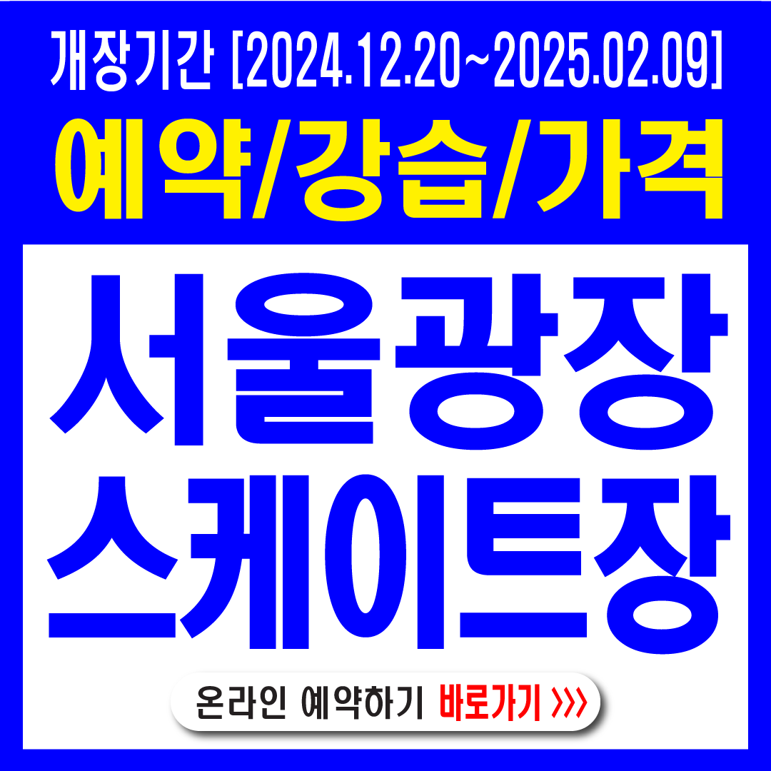 서울광장스케이트장-예약,강습,가격,볼거리