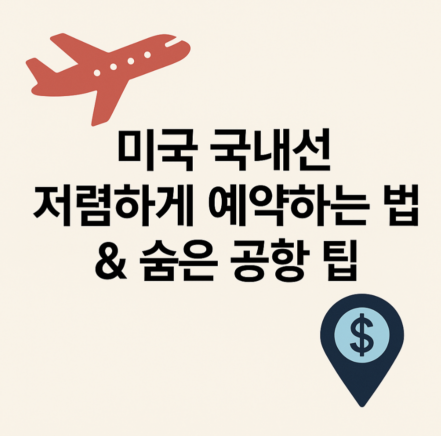 미국 국내선 저렴하게