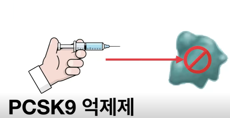 고지혈증 치료제 레파타