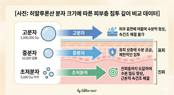 히알루론산 분자 크기별 피부 침투 한계와 속건조 유발의 상관관계