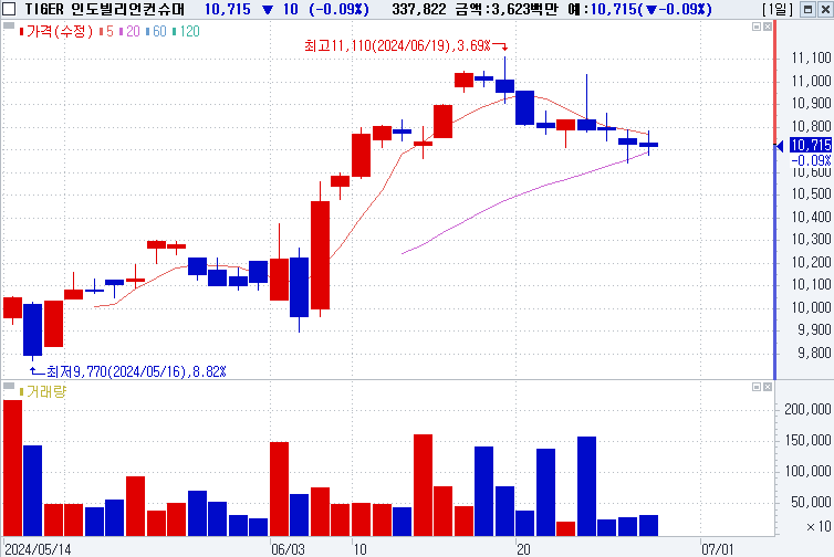 TIGER 인도빌리언컨슈머