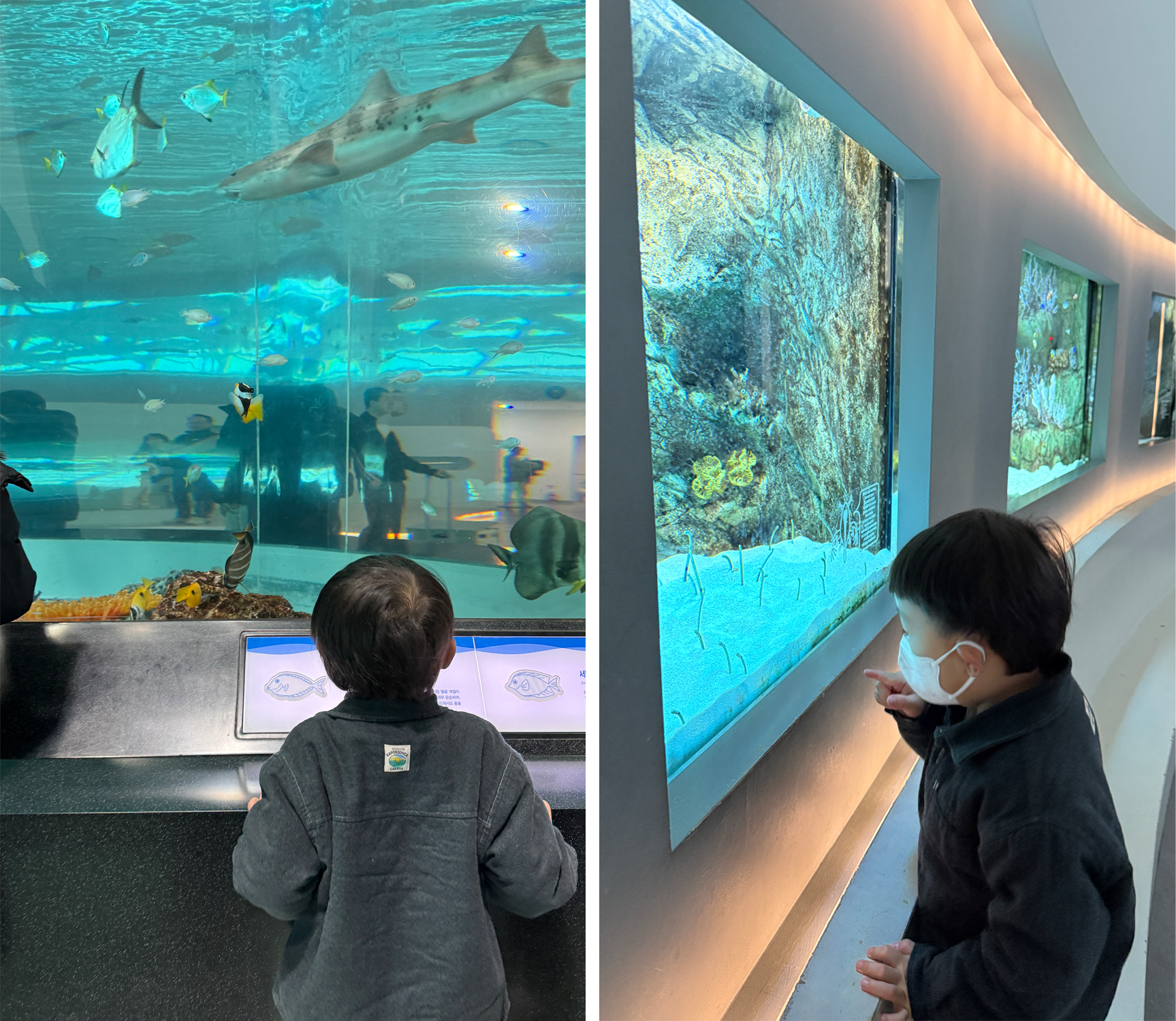 국립해양박물관