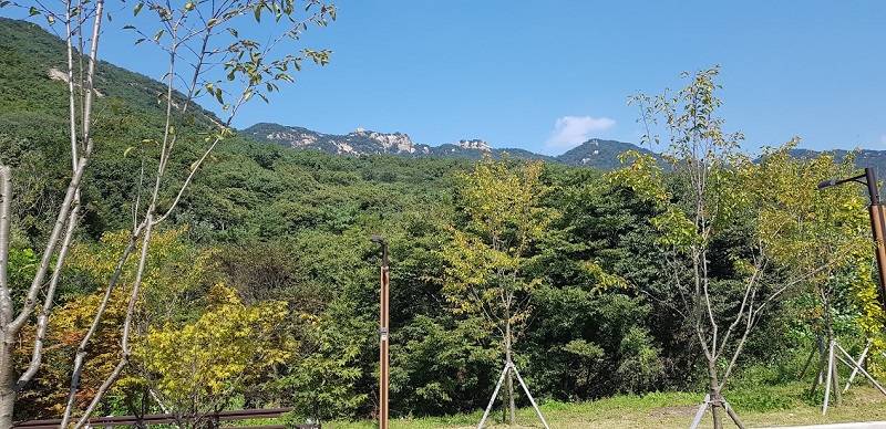 사기막야영장-전경