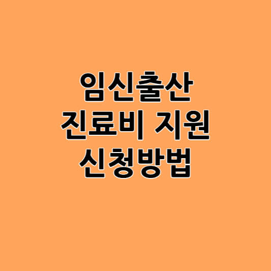 임신출산 진료비 지원 신청방법