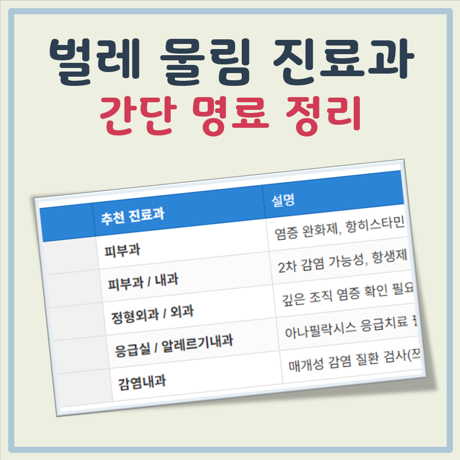 벌레 물렸을때 어느병원 대표 이미지