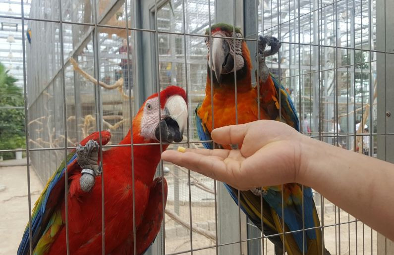 경주 버드파크 (북군동)