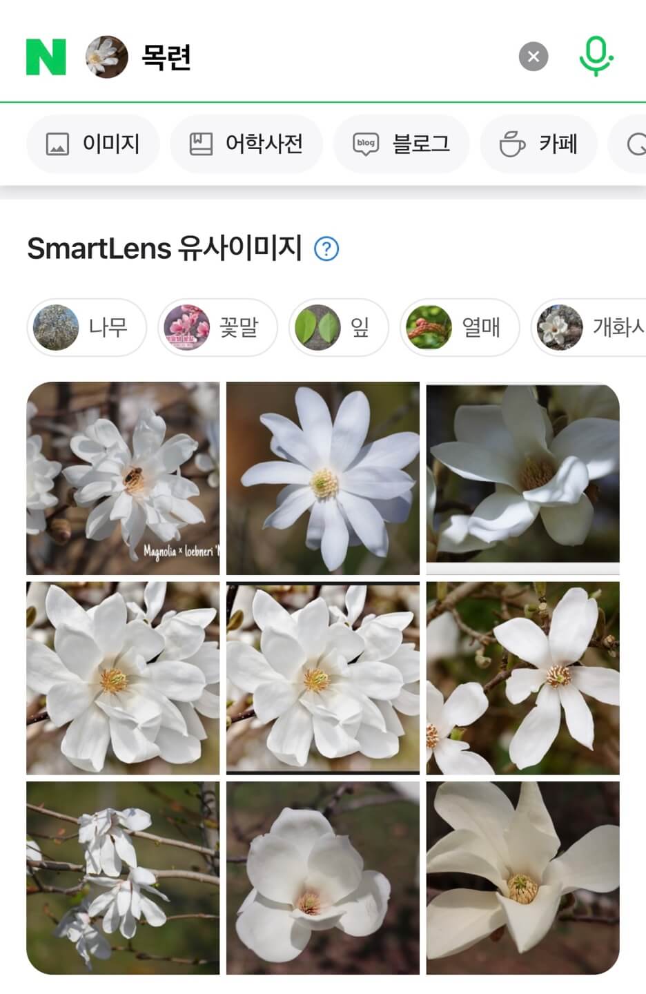 꽃이름 찾기