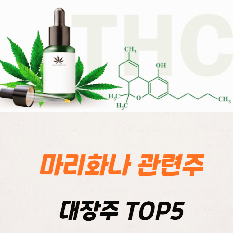 마리화나 관련주 대장주 수혜주 테마주 TOP5