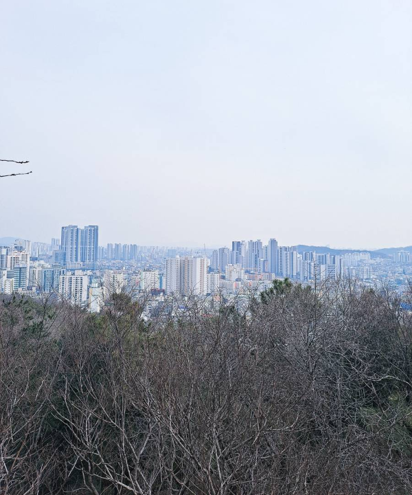 수봉산 아래 경치