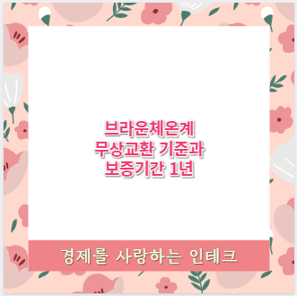 브라운체온계 무상교환 기준과 보증기간 1년